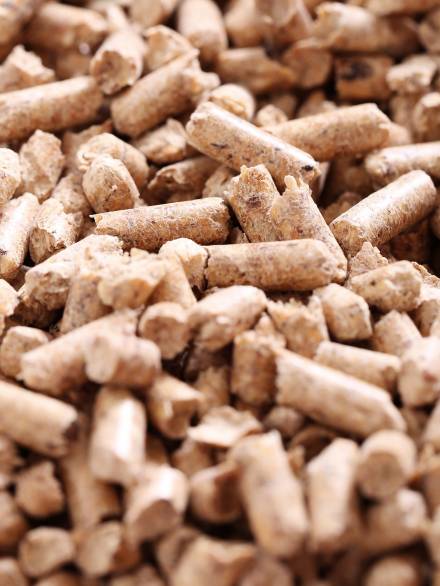 pellets pellets